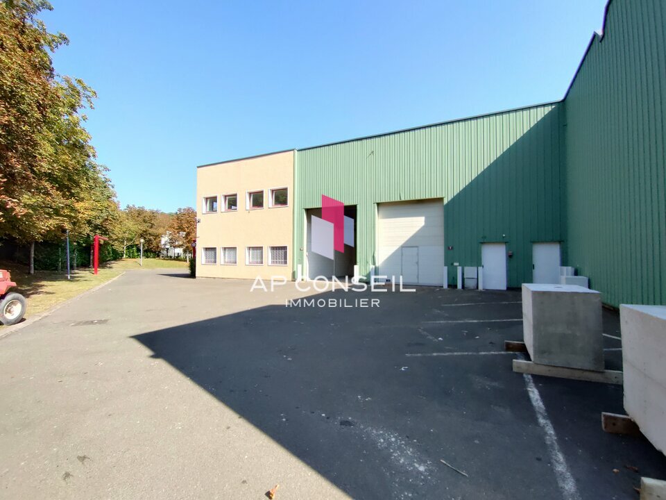 Photo 12