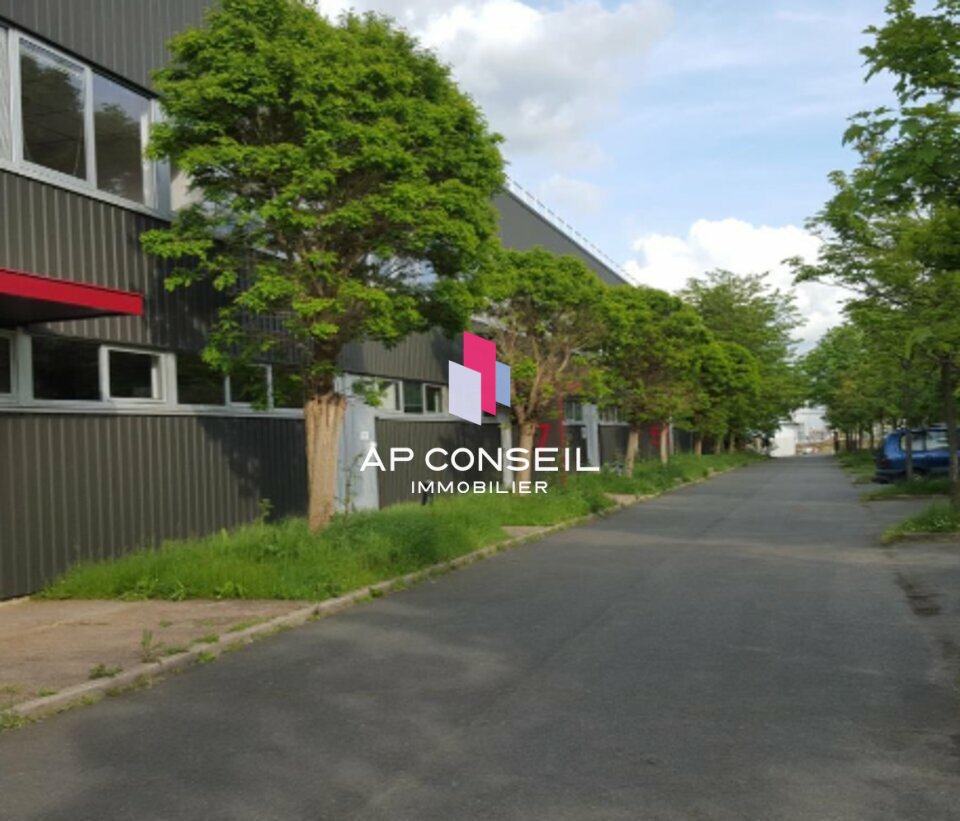Photo 46